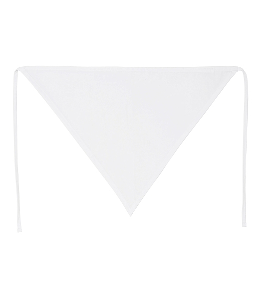 SEGERS косынка 1909 257