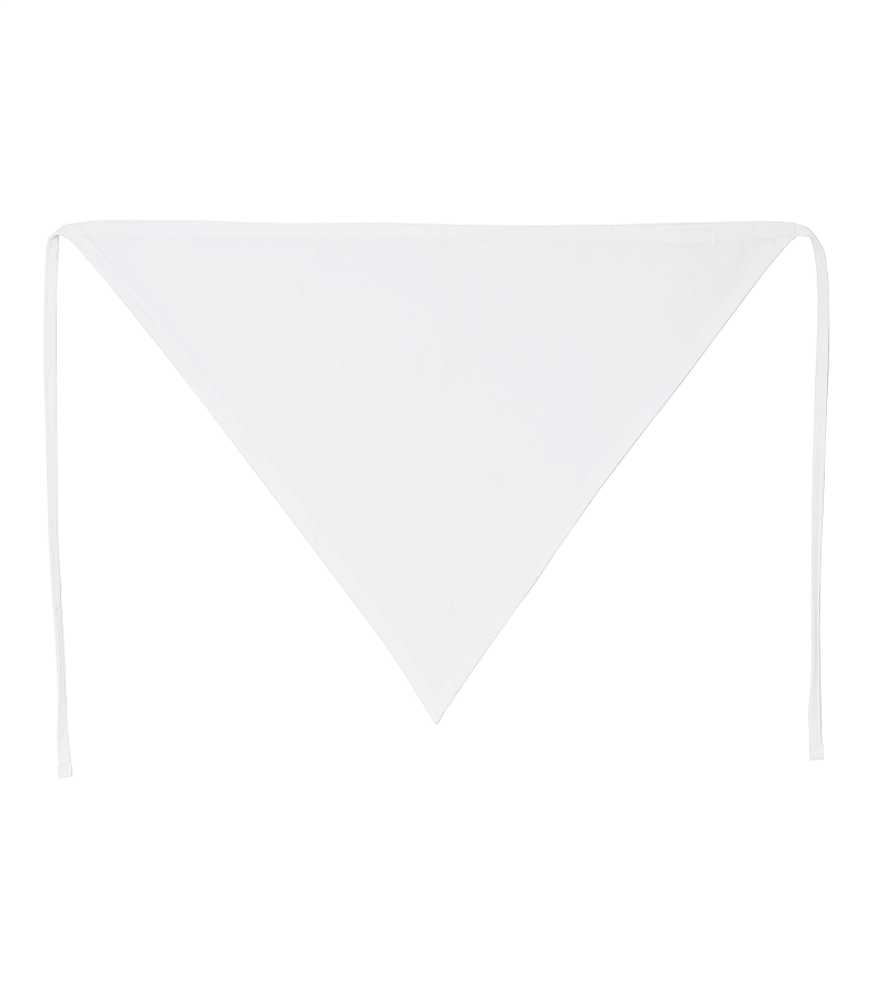 SEGERS косынка 1909 257