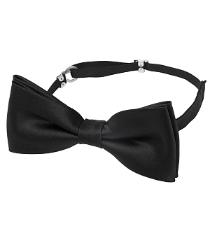 SEGERS галстук 1310 999