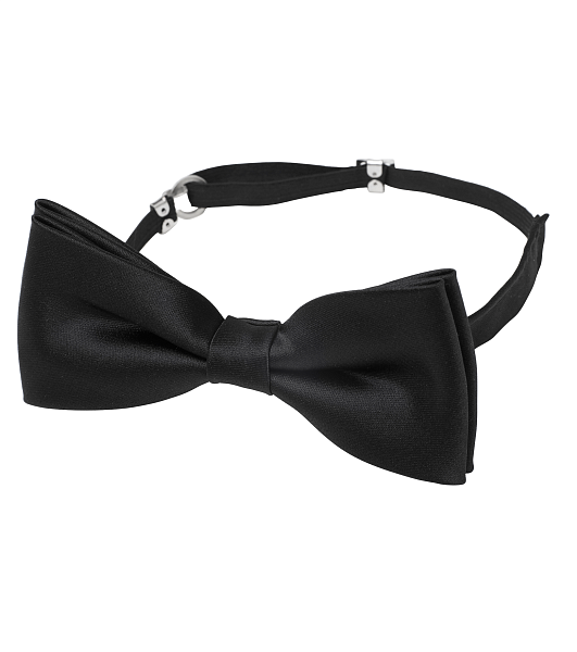 SEGERS галстук 1310 999